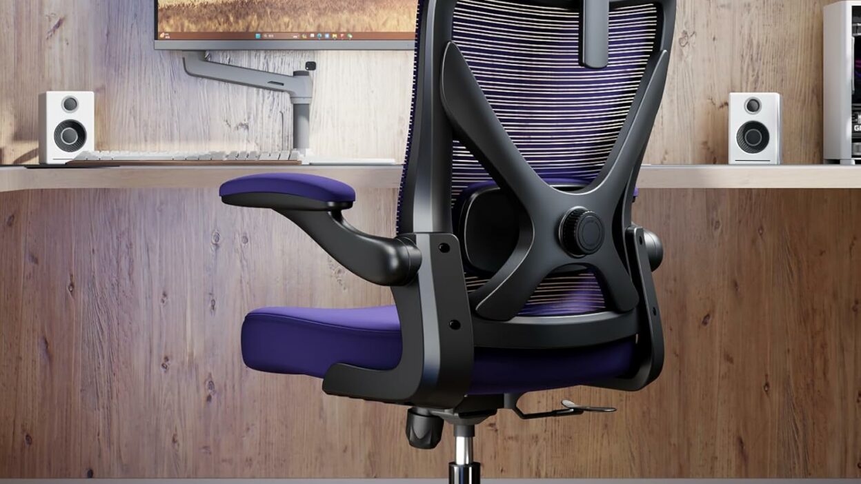 A Deep Dive Into the Ergalithic Ergonomic Office Chair