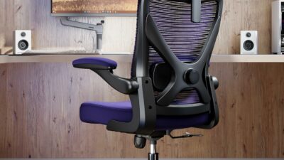 A Deep Dive Into the Ergalithic Ergonomic Office Chair